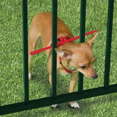 The escape prevention dog harness keeps your pet from slipping through the cracks.