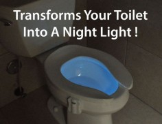The GlowBowl transforms your toilet into a Night Light. A High Tech Gadget for your Low Tech Toilet.