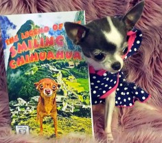 The Legend of the Smiling Chihuahua
