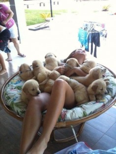 The luckiest girl in the world taking a bath in puppies. | 50 Animal Pictures You Need To See Before You Die