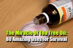 The Miracle of Tea Tree Oil: 80 Amazing Uses for Survival - SHTF Preparedness