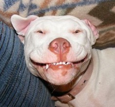 The pitty smile! Priceless