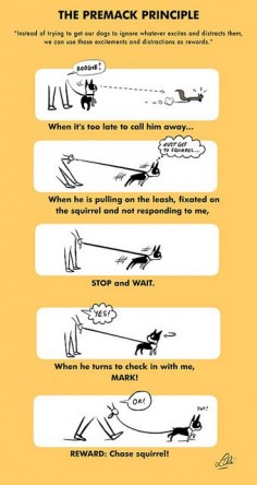 The premack principle by Lili Chin on Flickr #dog #training #boston_terrier #illustration #lili_chin #flickr