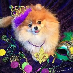 The princess herself wishing everyone a Happy Mardi Gras! by monique_ginger