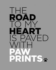 The Road to my heart is paved with paw prints #petquotes #dogfordog