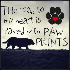 The road to my heart is paved with paw prints