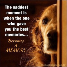The saddest moment is when the one who gave you the best  A MEMORY