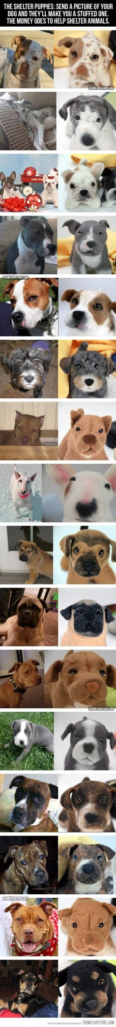 The Shelter Puppies: Send a picture of your dog and they'll make you a stuffed one. The money goes to help shelter animals!