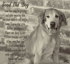 There is no greater honor than to share your life and love with a beloved pet.