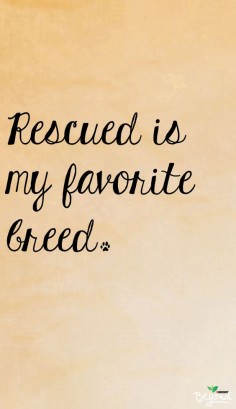 There is no greater joy than rescuing a pet in need. Rescue your new best friend today! #thinkbeyond #commissioned #cutedogquote