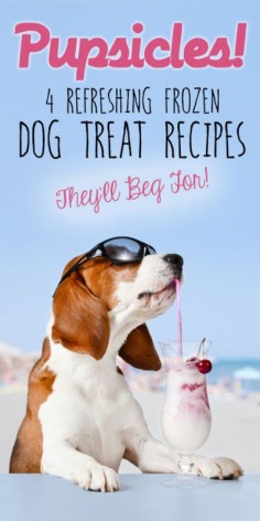 There’s no better way for your dog to beat the summer heat than with a cool, refreshing treat - especially one that’s been handmade with love by their very best friend… you!