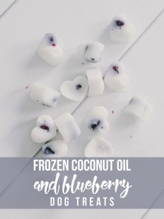 These Frozen Coconut Oil and Blueberry Dog Treats are a fresh way for your pup to cool off this Summer! Bonus: they are super healthy, too!