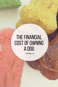 This blog post breaks down every conceivable expense you could incur as a dog owner--it's a must-read for anyone who's considering adding a pup to her family! | The Financial Cost of Owning a Dog | Blair Blogs