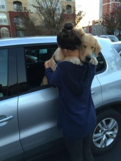 This dog who knows the importance of “one more hug”. | 29 Dogs Who Will Make You Want To Be A Better Person