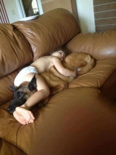 This German shepherd that will be the best kind of pillow to nap on. | 27 Dogs That Will Do Anything For Kids