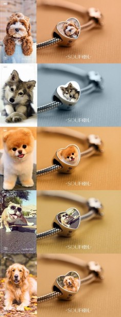 This is a bracelet which you can put your puppy's photo in it! Soufeel personalized charms bracelet, for every memorable day!