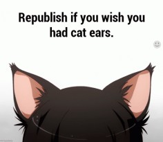 ★** this is an animated gif~ please click to see the animation! **★ cat ears? yes please~! :3>>> NEKO X3