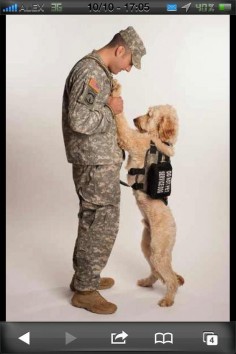 This is the most sweetest and loving picture I've ever seen of a service dog and it's soldier companion.