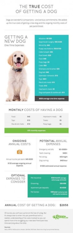 This is what it really costs to own a dog. But it's worth every penny!