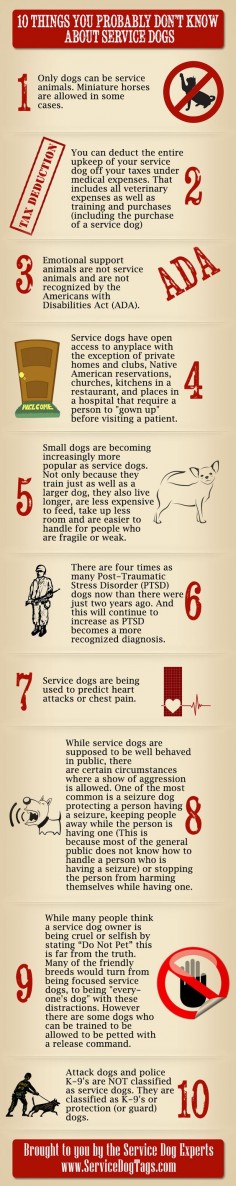 This service dog infographic includes information about service dogs and all the ways they assist people. More and more are bing used for PTSD by veterans.