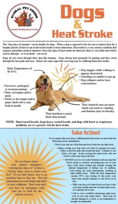 THIS TAKES 2 MINUTES TO READ, BUT COULD SAVE YOUR DOG’S LIFE IN THE SUMMER