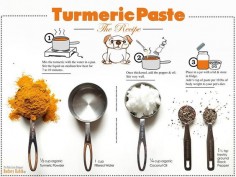 This turmeric paste is useful for so many health conditions and ailments and it can even be used with pets! It's anti-inflammatory, anti-cancer and more!