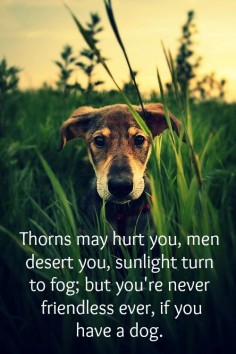 ♥ Thorns may hurt you, men desert you, sunlight turn to fog; but you're never friendless ever, if you have a dog. ♥
