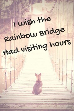 To My Shoshone and Jordan and all my other Precious Little Dogs I have  I Miss You Terribly !!! XOXOXOXO