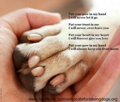To Our Fur-ever  your paw in my hand I will never let it go. Put your trust in me I will never, ever leave you. Put your heart in my heart I will forever give you love. Put your paw in my hand I will always keep you from harm ♥