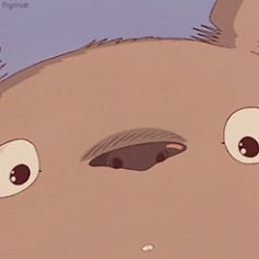 Totoro (Click for GIF)