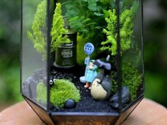 Totoro terrarium. I NEED THIS!!!