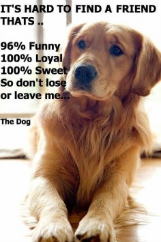 True about dogs