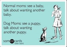 True Story!! I want another puppy!!