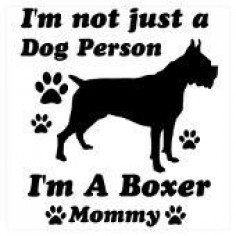 Try as I might, I can't seem to locate any other breed that is able to top the qualities a boxer possesses.