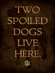 Two Spoiled Dogs Live Here❤️ true story!