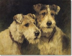 Two Wire Haired Fox Terriers by Arthur Wardle