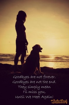 Until we meet again I will always remember you Tres and Tiger! ♥ ♥