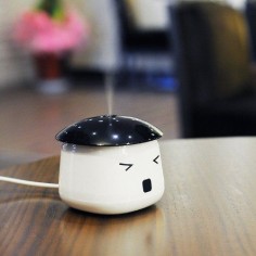 USB desktop humidifier for those dry offices.
