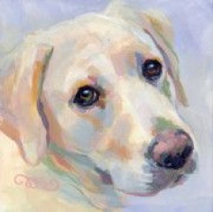 use of colour #painting / golden labrador retriever dog