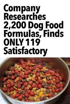 Very helpful information about Dog Food Brands