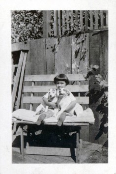 vintage photo Little Girl w 2 Jack Russell Terrier