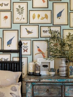Wall Art Ideas | Tips for Hanging, Arranging | Laurel Home | lovely collage of prints from UK House and Garden