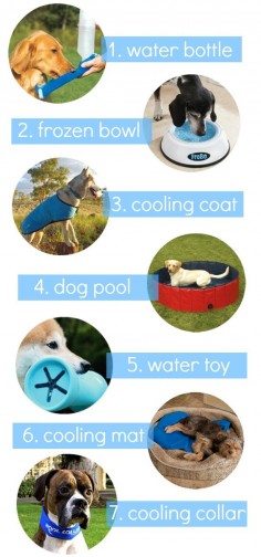 Ways to Keep Cool In The Dog Days of Summer Today on The Dane Dame!