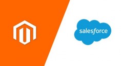 We provide the best #magento integration services with the #Salesforce. #CRM