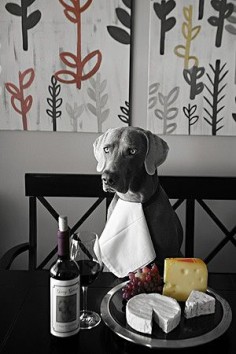 Weim and Cheese