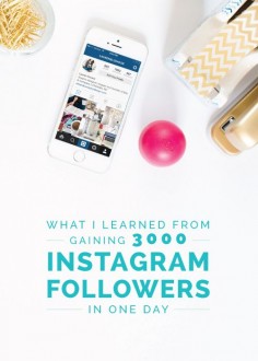 What I Learned from Gaining 3000 Instagram Followers in One Day - Elle & Company