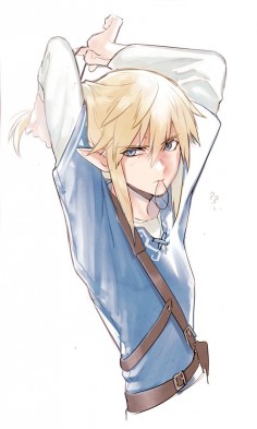 What? It's not my fault that you fell into the water! *sighs*  it was, but just a little, Link!!!
