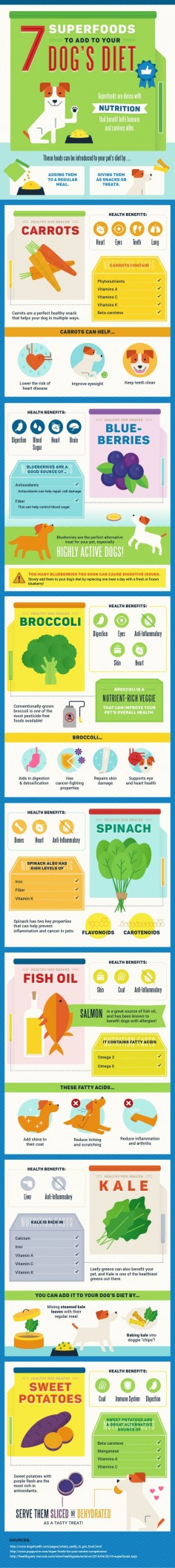 While your dog may enjoy having bacon added to his #dog food every day, your dog's health may suffer, as he doesn't understand that certain types of foods need to be eaten in moderation. To help you select the ideal add-ins for your dog, this #infographic explains both the benefits of Superfoods and which you may want your pup to try!