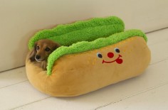 wiener dog in a bun bed! That is one HOT DOG!