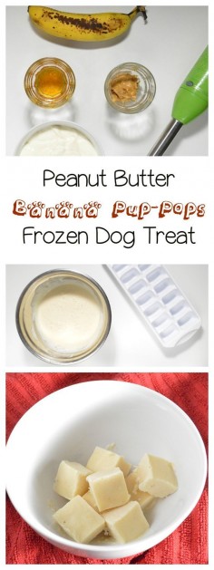 With warm days ahead, cool your pooch down with a fun and easy frozen dog treat recipe! The best part? It’s actually tasty for you if you love banana ice-cream! Try it out!